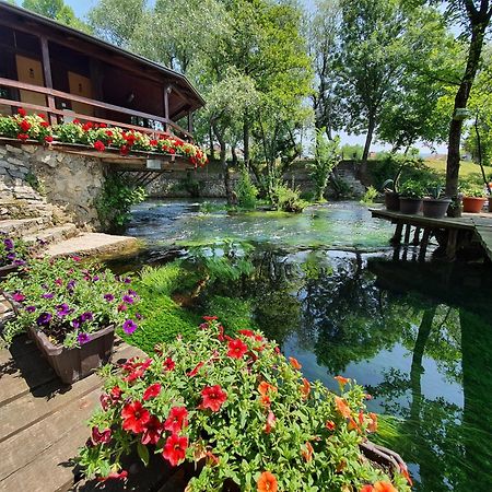 Apartments Mlin Bihać Værelse billede